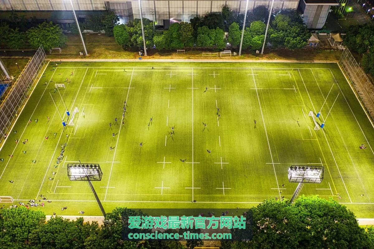 爱游戏最新官方网站玩法攻略新手起步条目配图