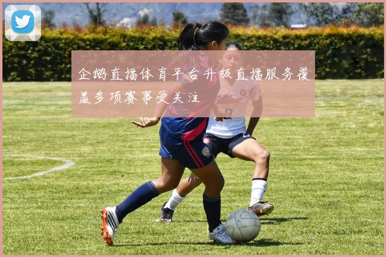 企鹅直播体育平台升级直播服务覆盖多项赛事受关注