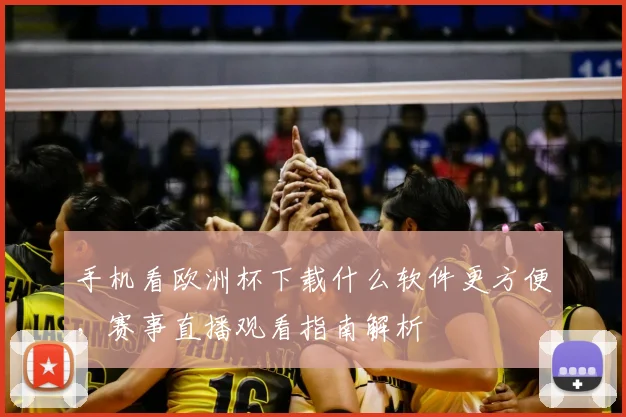 手机看欧洲杯下载什么软件更方便,赛事直播观看指南解析