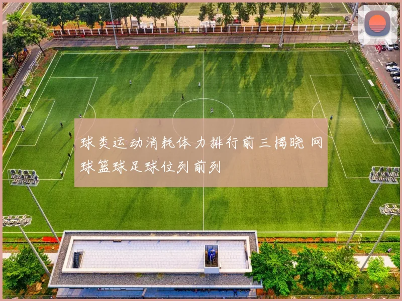 球类运动消耗体力排行前三揭晓 网球篮球足球位列前列