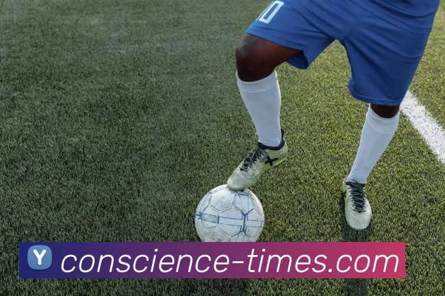 买球官方平台生态图