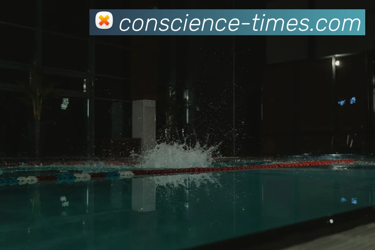 买球官方全站App